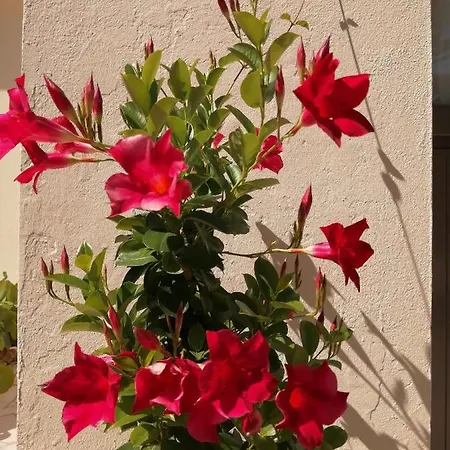 La Loire Fleurie Le Perrier