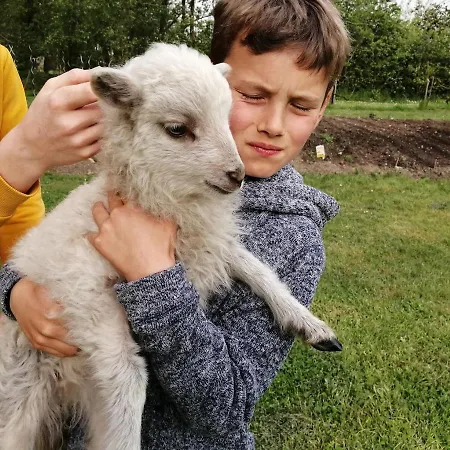 La Loire Fleurie Le Perrier