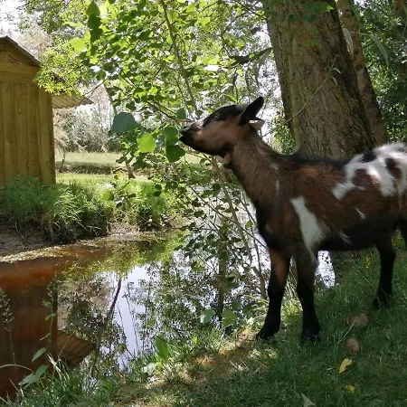 La Loire Fleurie * Le Perrier