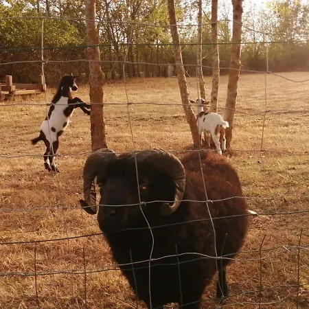 La Loire Fleurie Le Perrier
