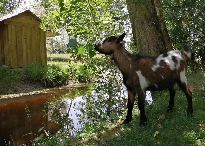 La Loire Fleurie * Le Perrier