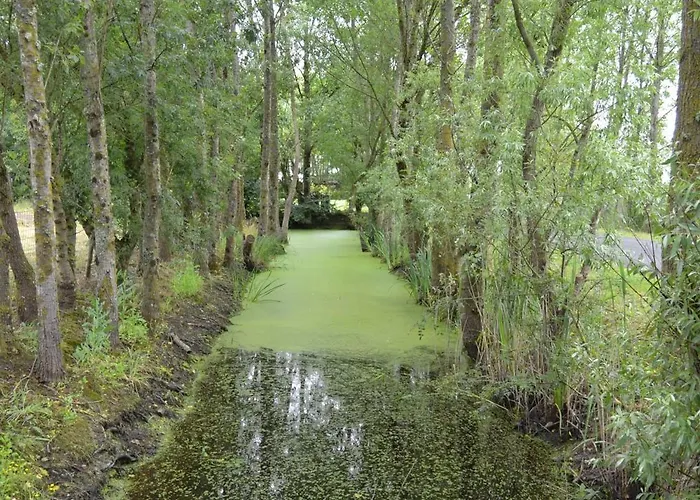 Domek alpejski La Loire Fleurie *