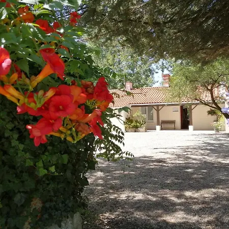 La Loire Fleurie * Le Perrier