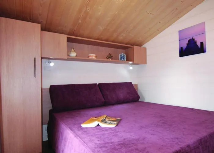 Шале La Loire Fleurie