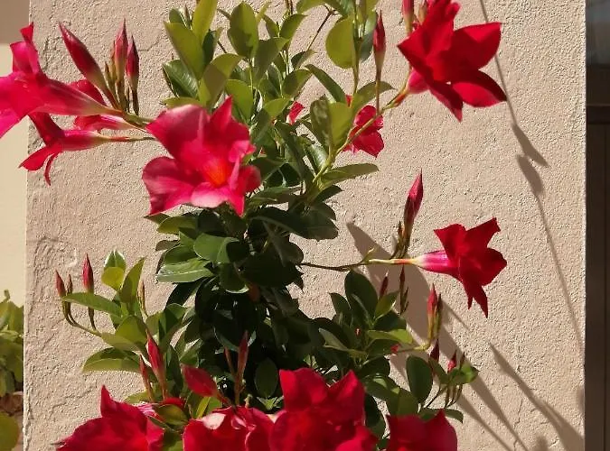 La Loire Fleurie Le Perrier