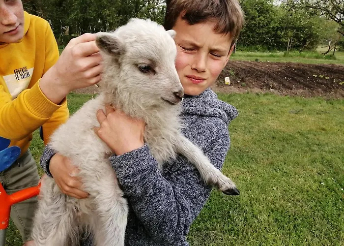 La Loire Fleurie Le Perrier