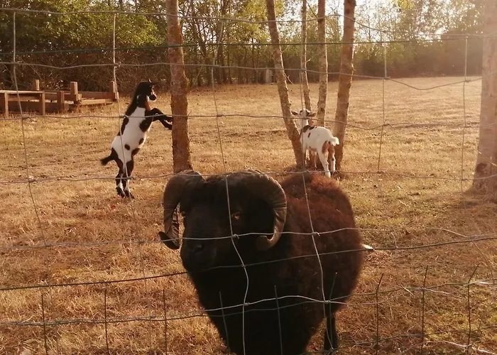 La Loire Fleurie Le Perrier